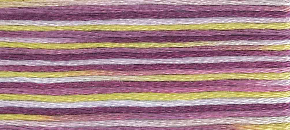 DMC Mouline Colour Variations: 8m: Skein - Iris Bouquet