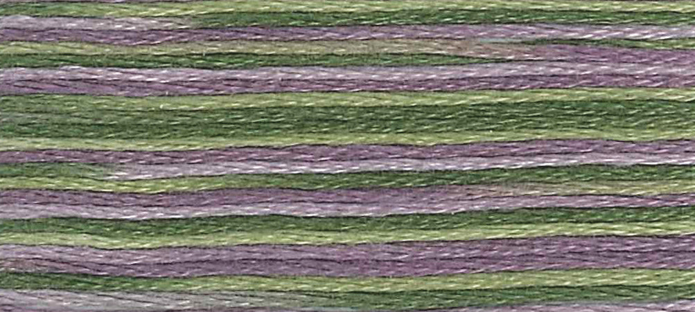 DMC Mouline Colour Variations: 8m: Skein - Highland Moors