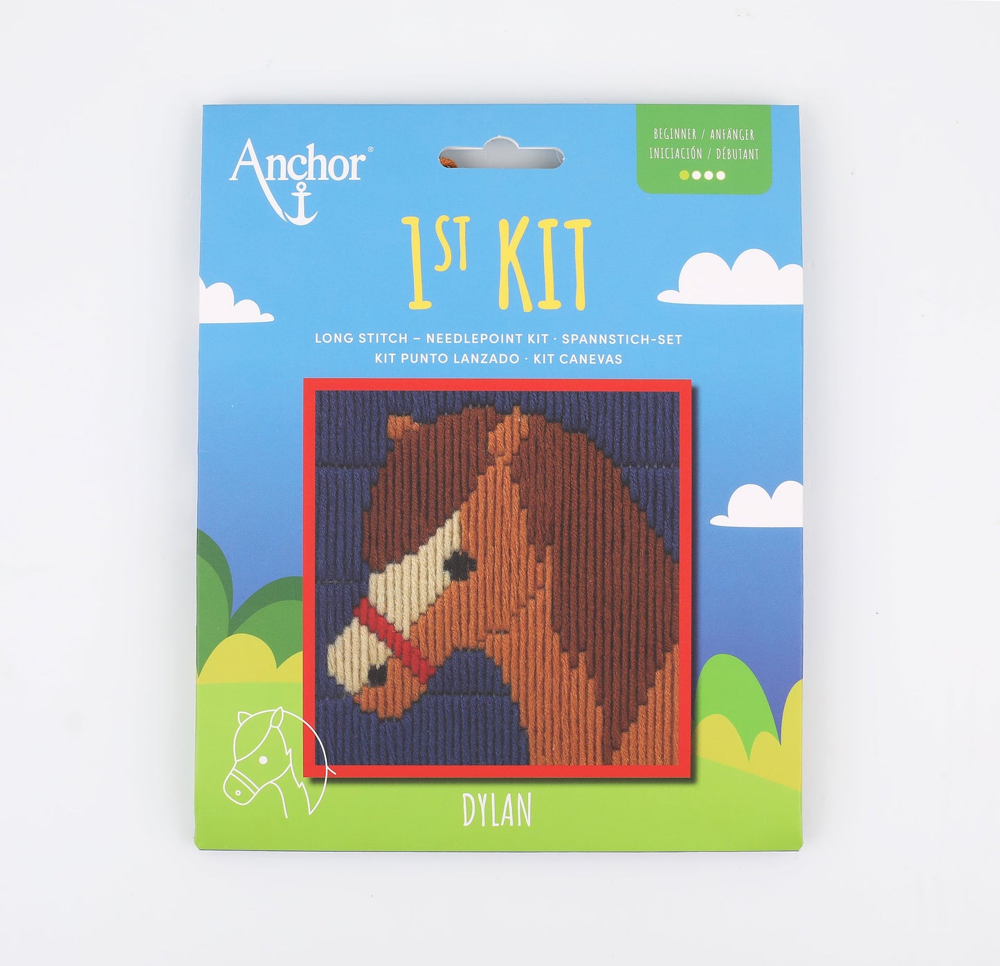 Anchor 1st Kit - Long Stitch - DYLAN