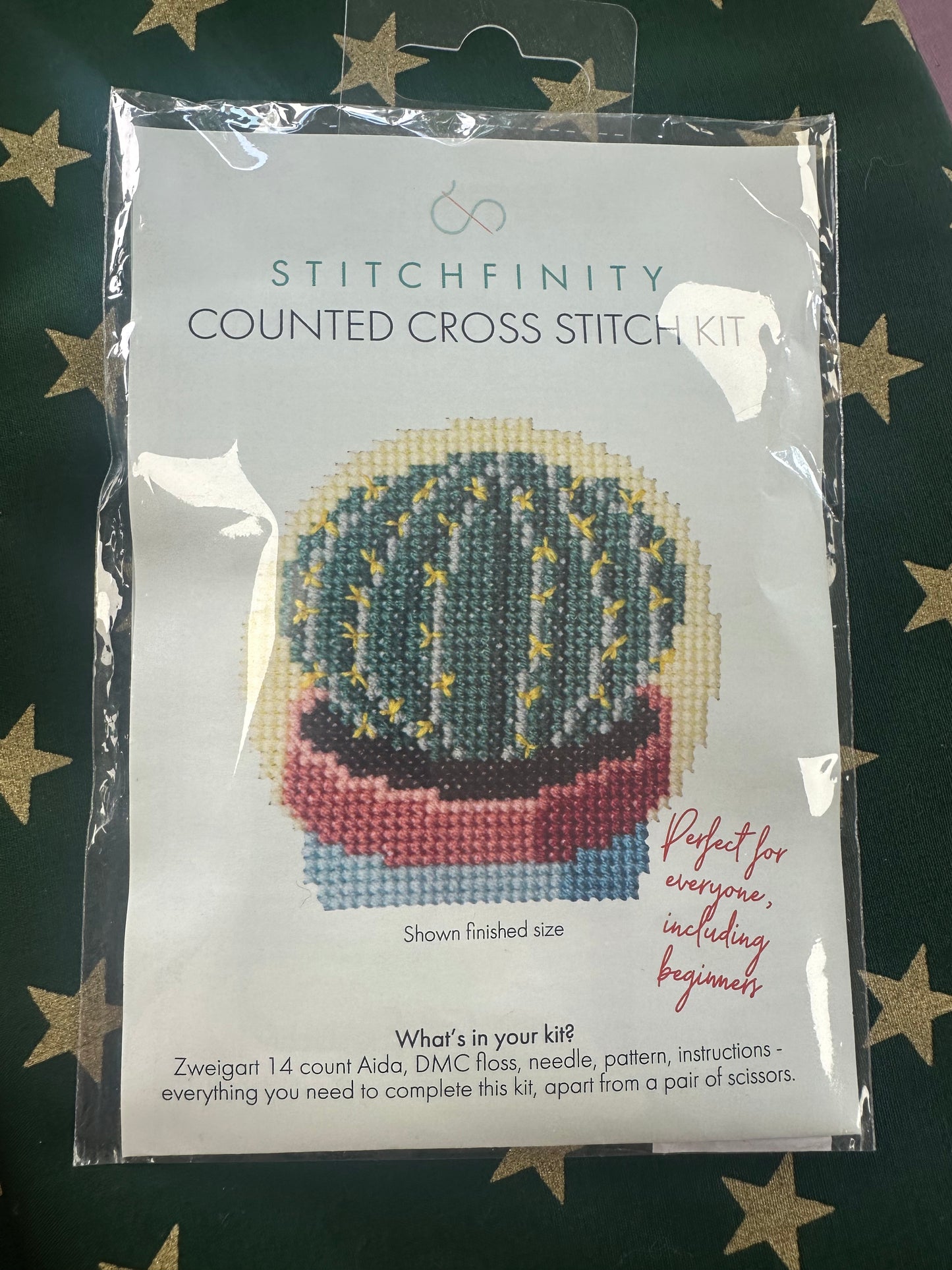 Cactus Cross Stitch Kit