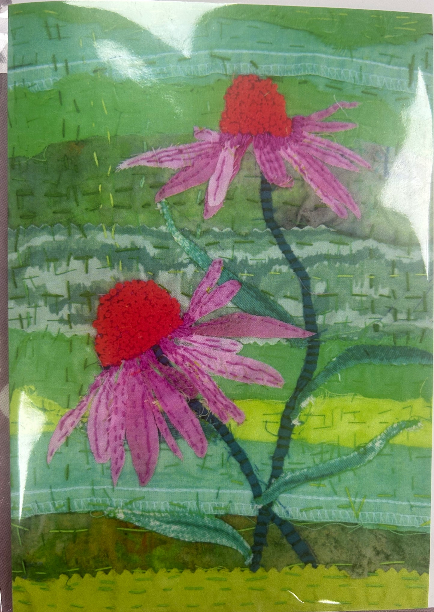Blank Greeting Card Echinacea