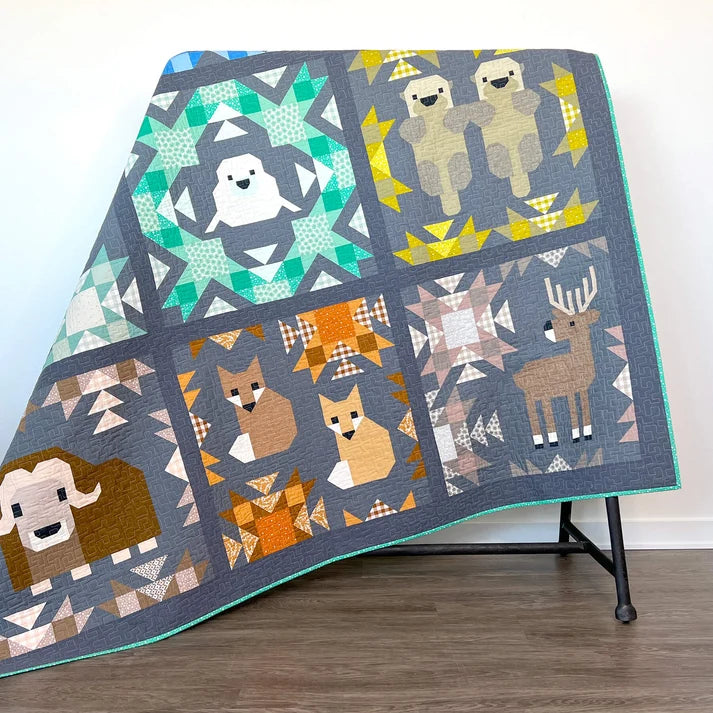Elizabeth Hartman Pattern North Stars Sampler Quilt