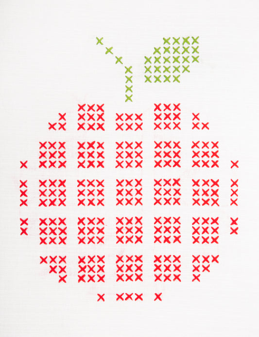 Image of embroidery apple kit