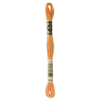 Mouliné Stranded Cotton:  8m: Skein - Chai Spice