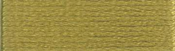 DMC Mouliné Stranded Cotton:  8m: Skein - Golden Green