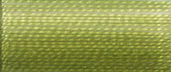 DMC Mouliné Stranded Cotton:  8m: Skein - Moss Green Ombre