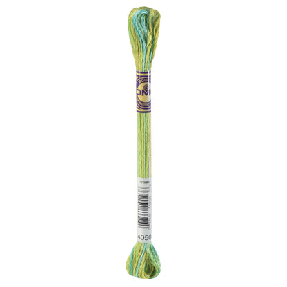 Mouline Colour Variations:  8m: Skein - Blue, Green Yellow, Embroidery Thread