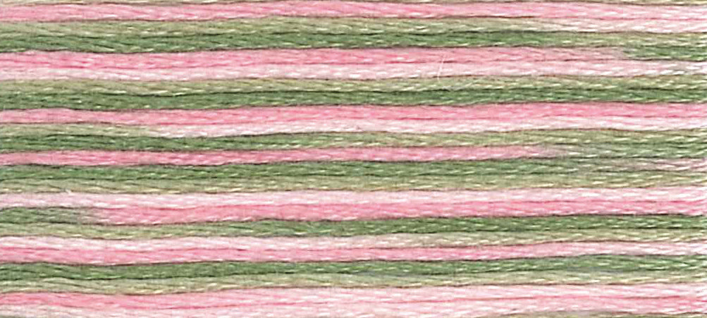 DMC Mouline Colour Variations:  8m: Skein - Spring Meadow