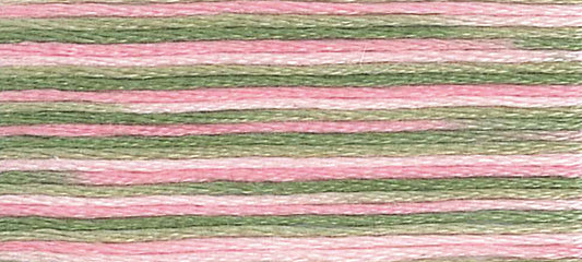 DMC Mouline Colour Variations:  8m: Skein - Spring Meadow