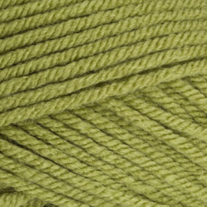 Stylecraft Special Chunky 100g