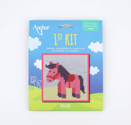 Anchor 1st Kit - Tapestry - MEGAN