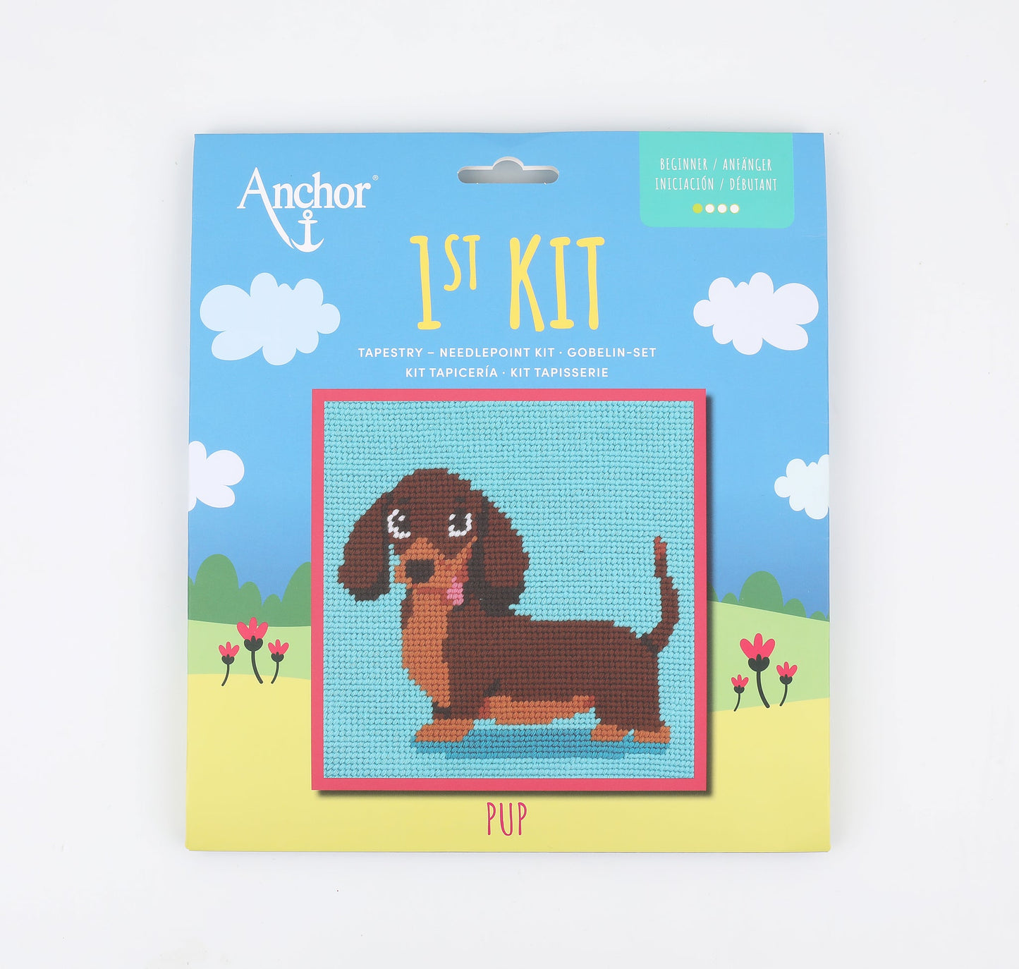 Anchor 1st Kit - Tapestry – PUP
