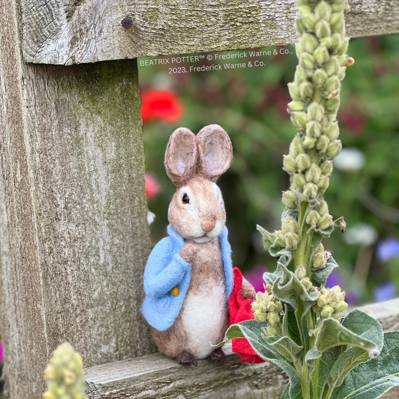 Beatrix Potter - Peter Rabbit and his Pocket Handkerchief Needle Felting Craft Kit image 8