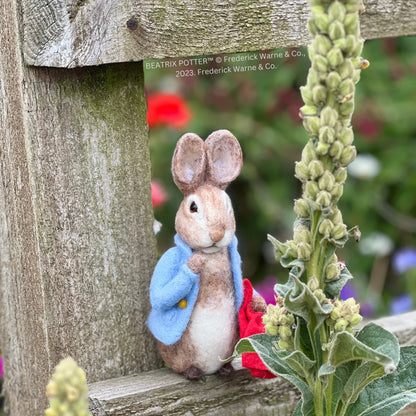 Beatrix Potter - Peter Rabbit and his Pocket Handkerchief Needle Felting Craft Kit image 8