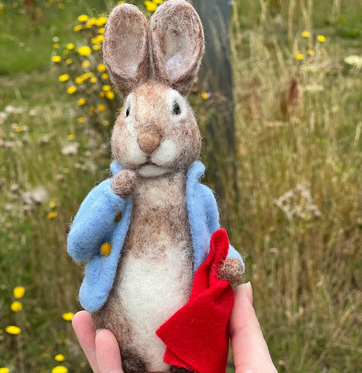 Beatrix Potter - Peter Rabbit and his Pocket Handkerchief Needle Felting Craft Kit image 7