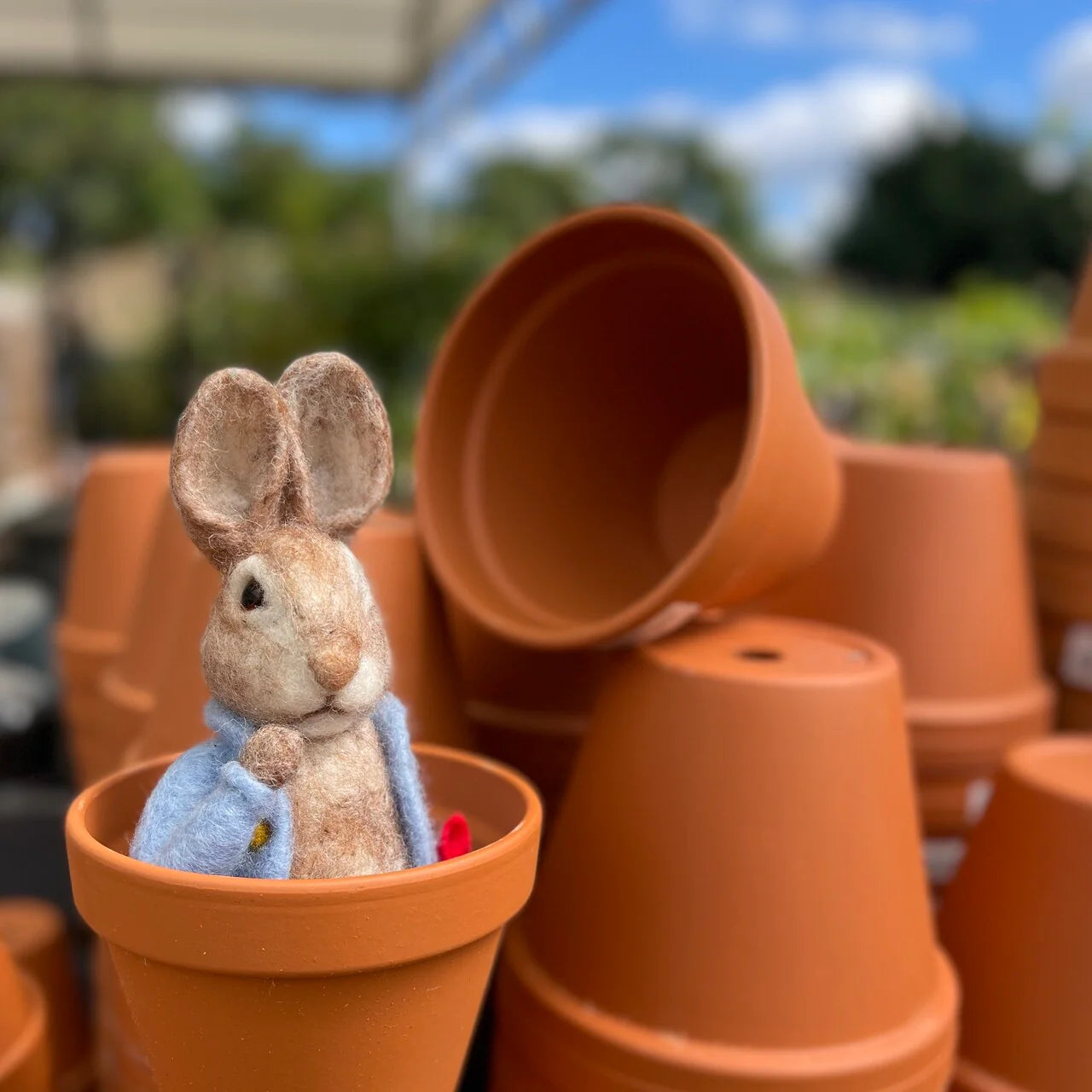 Beatrix Potter - Peter Rabbit and his Pocket Handkerchief Needle Felting Craft Kit image 9