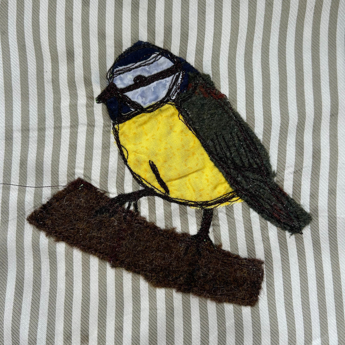 blue tit.jpg