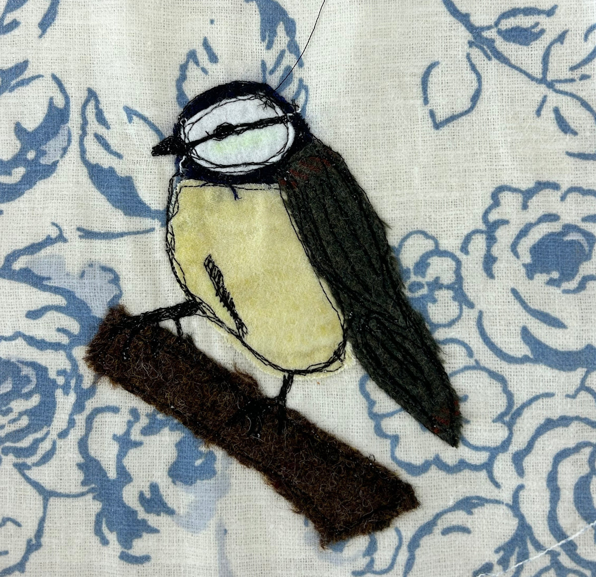 blue tit v 2.jpeg