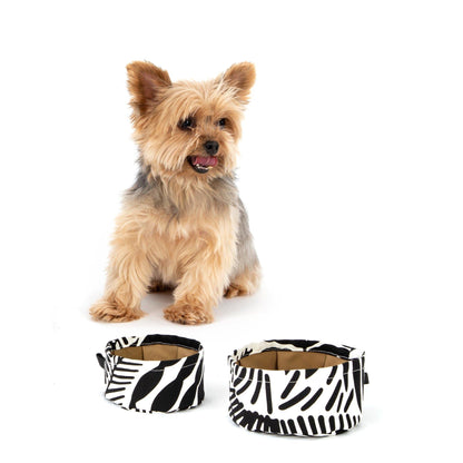 2020 // GALAXIE 4 - Accessories for pets (and their humans) - Jalie